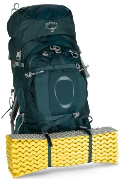 Osprey Ariel Plus 70 Fjellsekk Dame -Osrey Butikk Ariel Plus 70 S21 Detail3 Night Jungle Blue web