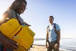 Osprey Daylite Plus Dagstursekk 37 Osprey Daylite Plus Dagstursekk -Osrey Butikk S23 Daylite Plus Holz Seattle 3591exp 8 26 24 web