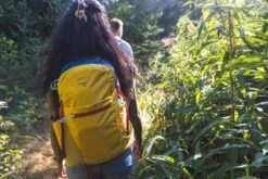 Osprey Daylite Plus Dagstursekk 38 Osprey Daylite Plus Dagstursekk -Osrey Butikk S23 Daylite Plus Holz Seattle 3619exp 8 26 24 web