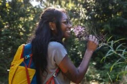 Osprey Daylite Plus Dagstursekk 40 Osprey Daylite Plus Dagstursekk -Osrey Butikk S23 Daylite Plus Holz Seattle 3764exp 8 26 24 web