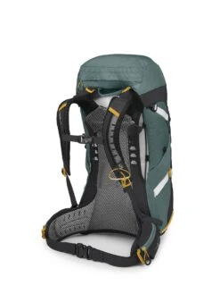 Osprey Sirrus 36 (Dame) -Osrey Butikk Sirrus36 S22 SideBack SucculentGreen 10004268 web