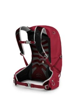 Osprey Talon 22 Dagstursekk 22 Osprey Talon 22 Dagstursekk -Osrey Butikk Talon 22 S21 SideBack Cosmic Red web