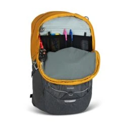 Osprey Quasar Ryggsekk -Osrey Butikk quasar26 f22 detail5 goldenhouryellowgreyarea.jpg 1